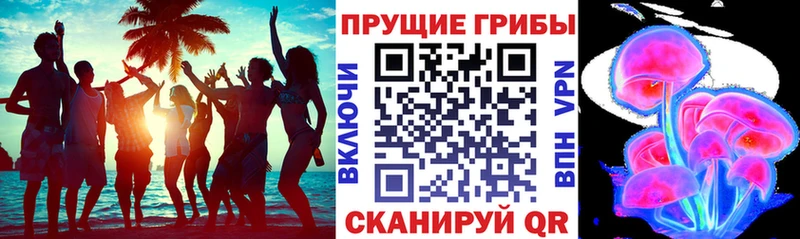 Галлюциногенные грибы прущие грибы  Шатура 