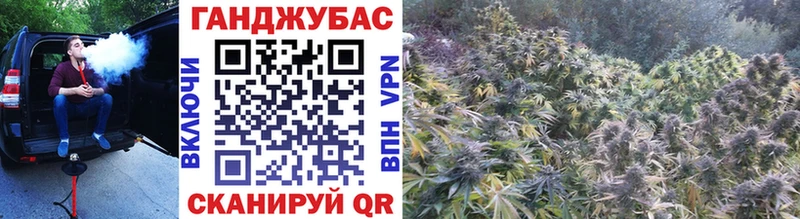 как найти закладки  Шатура  Конопля планчик 